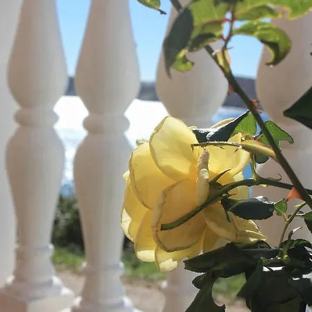 アパート 9324b Vlašići